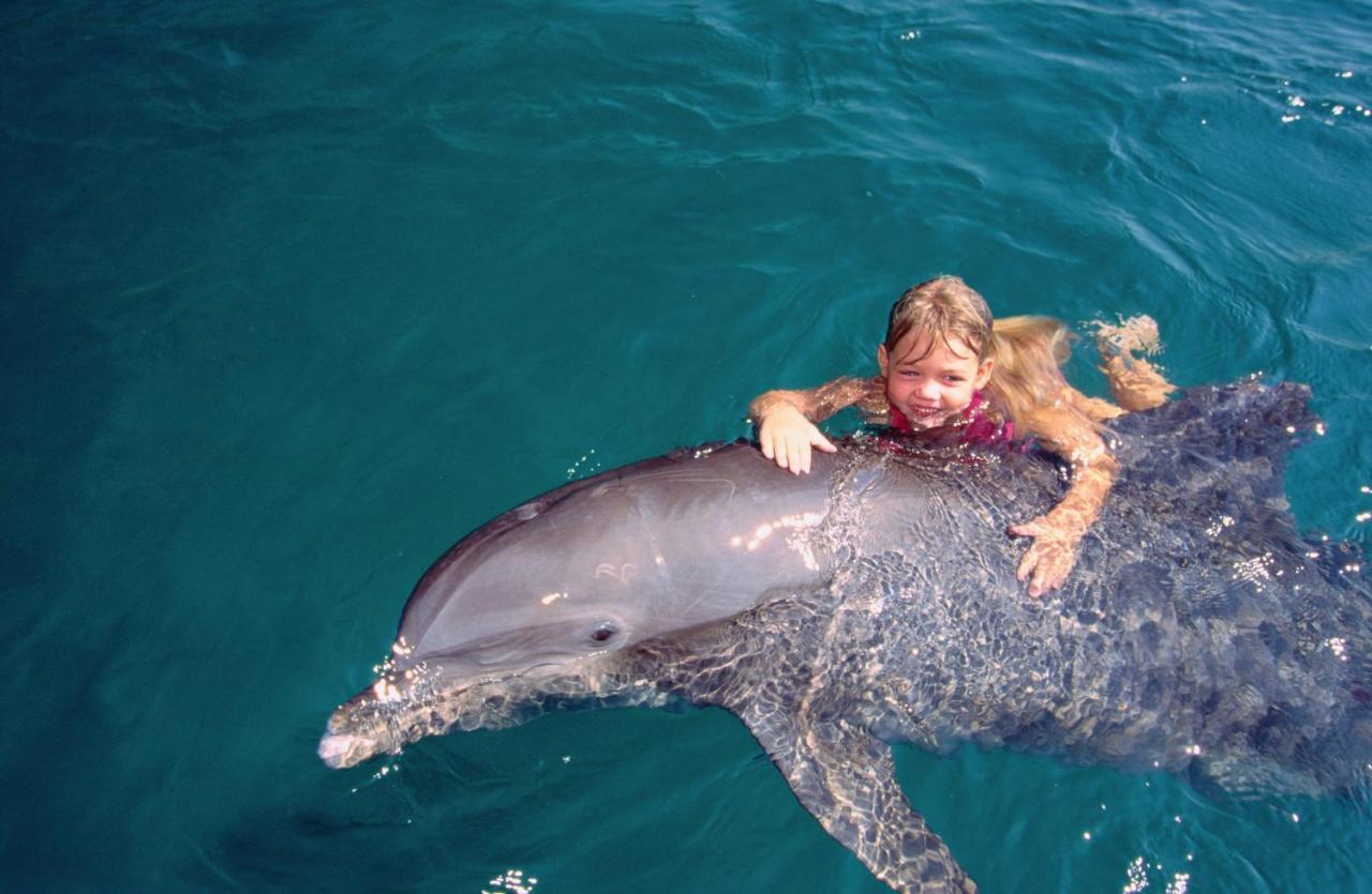 Vert Hotel Eilat By Afi Hotels 외부 사진 Dolphin and girl